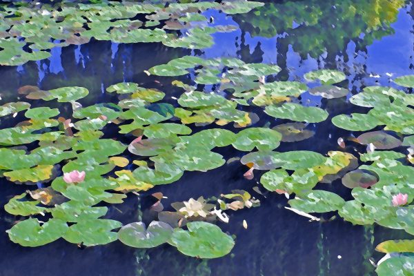 Set-B-473-Monet, water lilies at Giverny