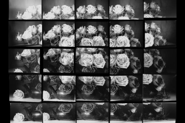 Print-of-the-Night---Judges-Choice---Gabrielle-Chisholm---Roses-with-my-25-pinhole-camera